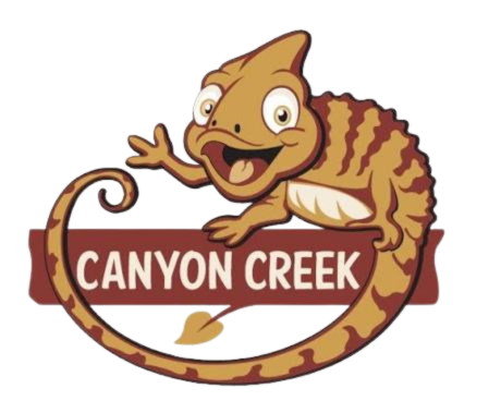 Canyon Creek Elementary Neon Run | FundHub